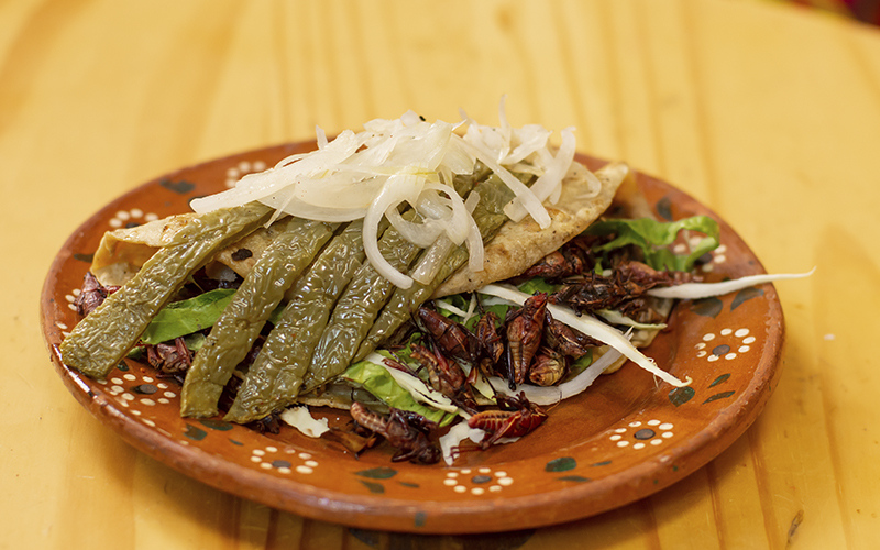 Conoce las mejores guarniciones para acompañar tamales mexicanos